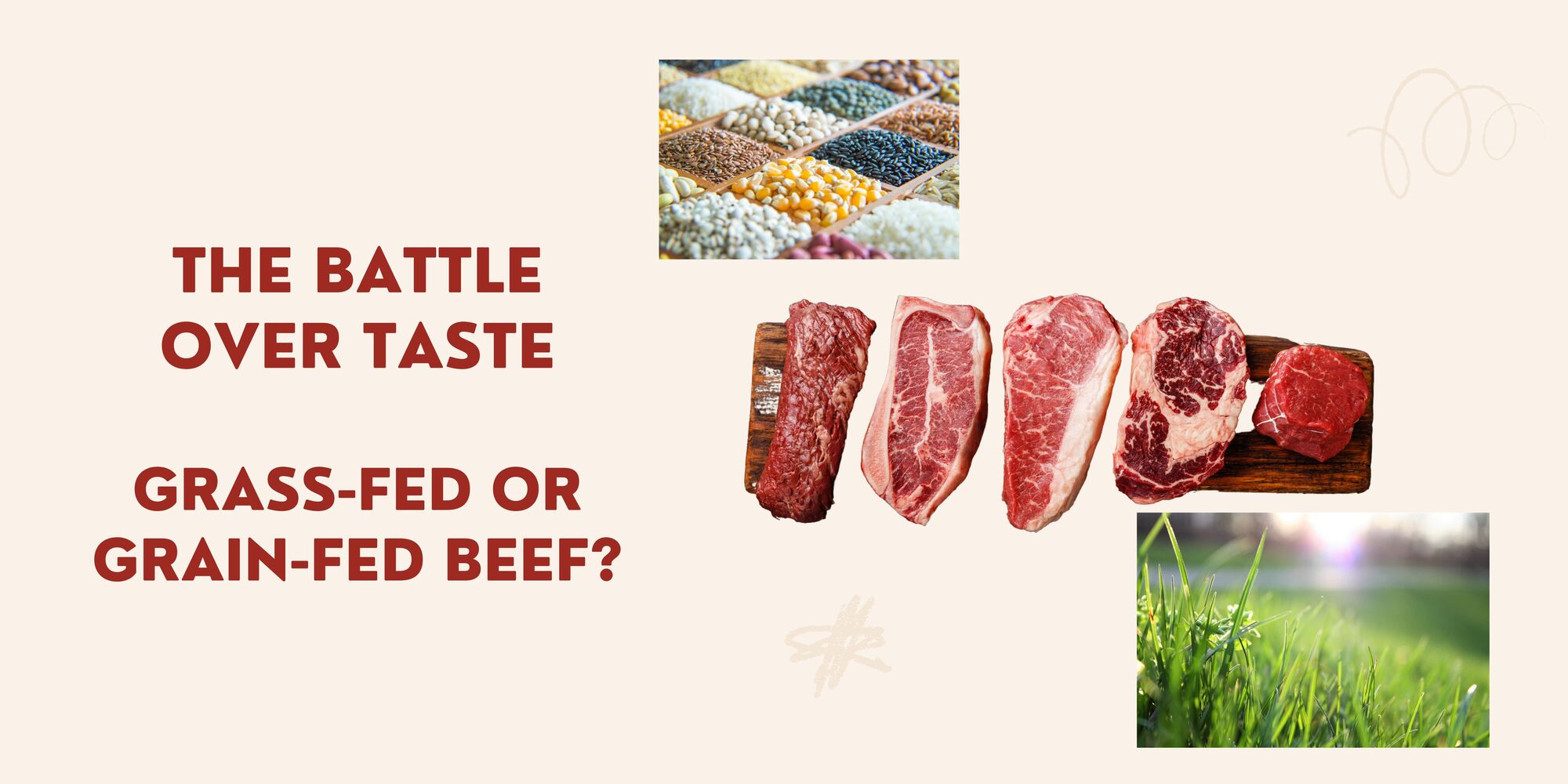GrassFed V GrainFed Beef. Ever wondered the actual difference