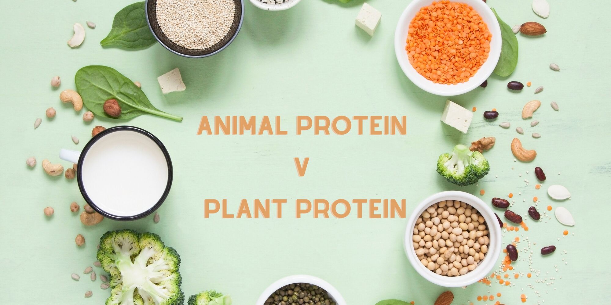 What's the big deal about 'Plant Protein'? - Saffron Alley